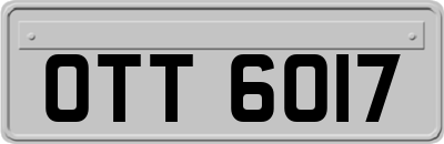 OTT6017