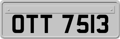 OTT7513