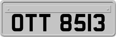 OTT8513