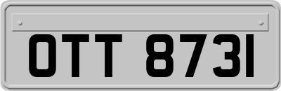 OTT8731