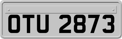 OTU2873