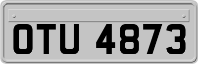 OTU4873