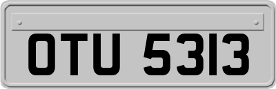 OTU5313