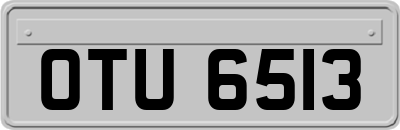 OTU6513