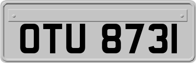 OTU8731
