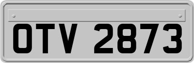 OTV2873