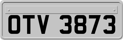 OTV3873