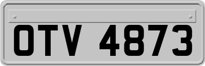 OTV4873