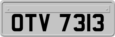OTV7313