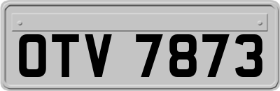 OTV7873