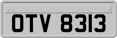 OTV8313