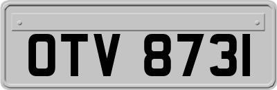 OTV8731