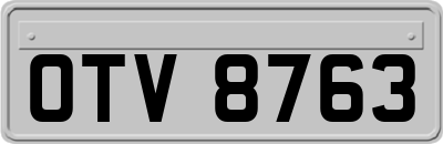 OTV8763