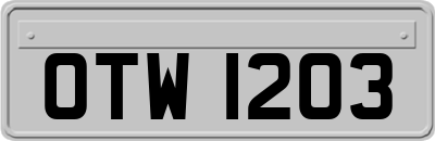 OTW1203