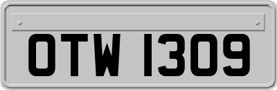 OTW1309