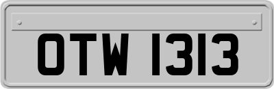 OTW1313