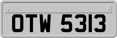 OTW5313