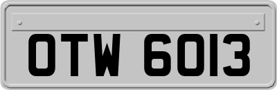 OTW6013