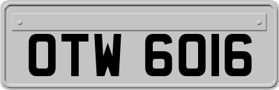 OTW6016