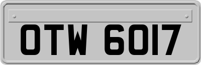 OTW6017