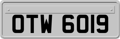OTW6019