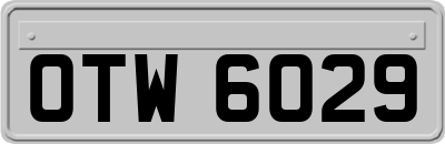 OTW6029