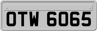 OTW6065