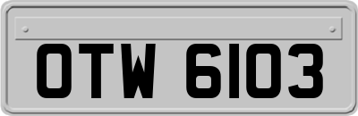 OTW6103