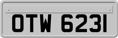 OTW6231