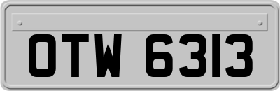 OTW6313