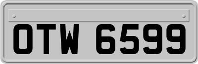 OTW6599