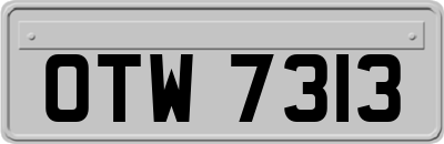 OTW7313