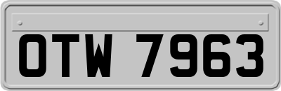 OTW7963