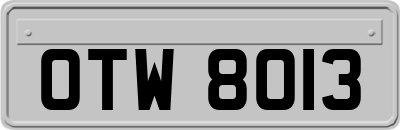OTW8013