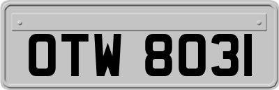OTW8031