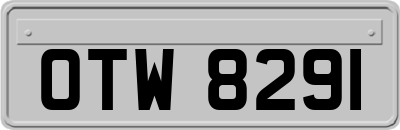 OTW8291