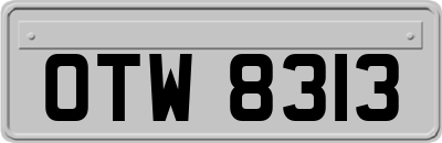 OTW8313