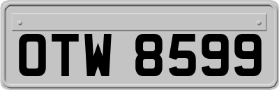 OTW8599