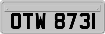 OTW8731