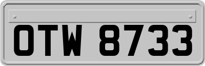 OTW8733