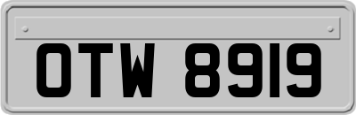 OTW8919