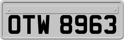 OTW8963