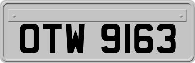 OTW9163