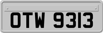 OTW9313