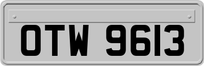OTW9613