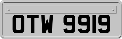 OTW9919