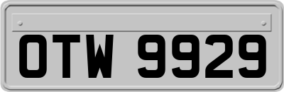OTW9929