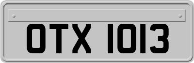 OTX1013
