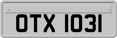 OTX1031