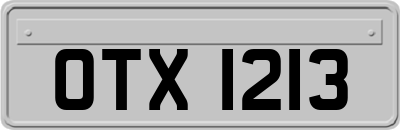 OTX1213